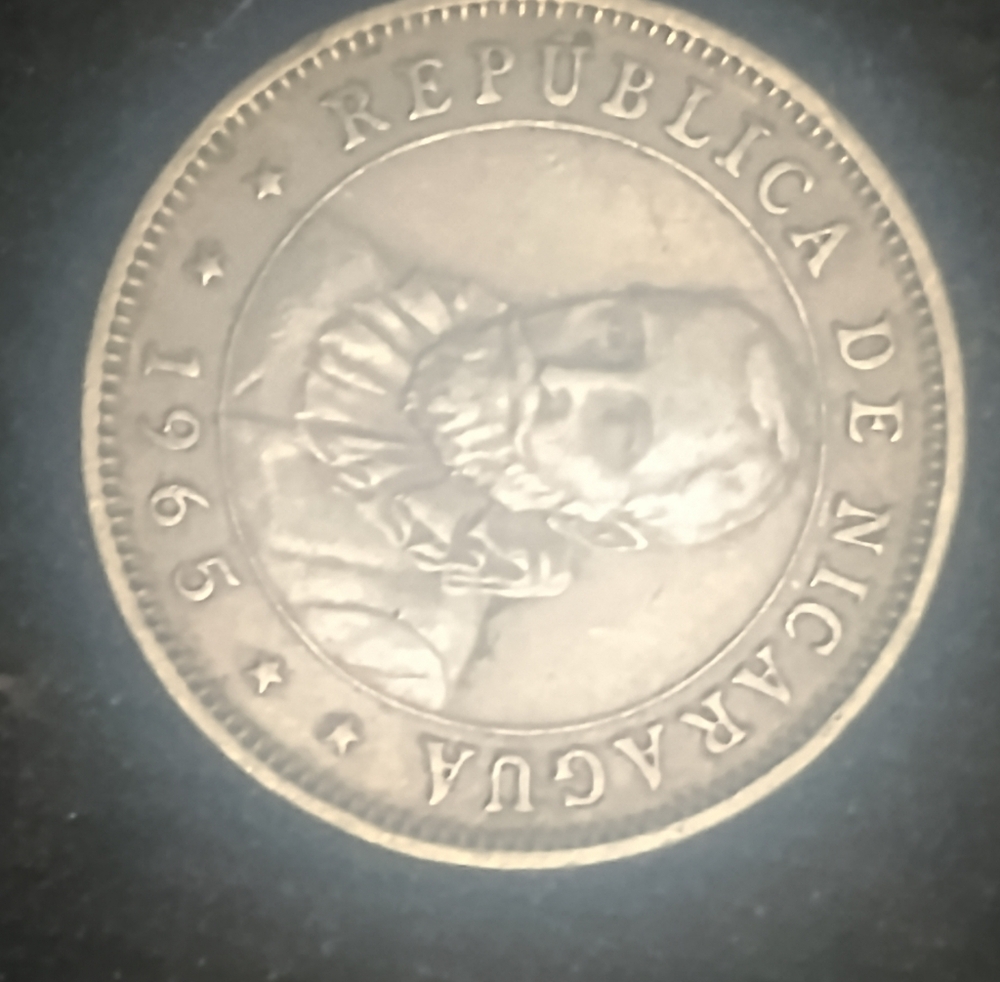 Silver Tone Decorative Coin Accent - Neutral Home Other